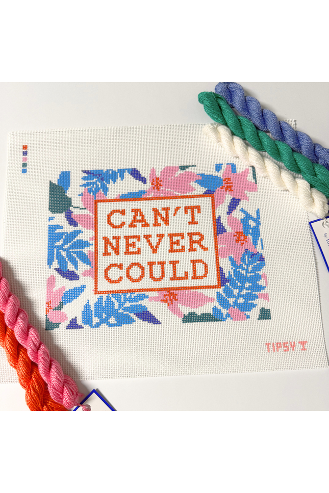 Needlepoint Kit project with 'CAN'T NEVER COULD' text and floral patterns, surrounded by colorful threads.