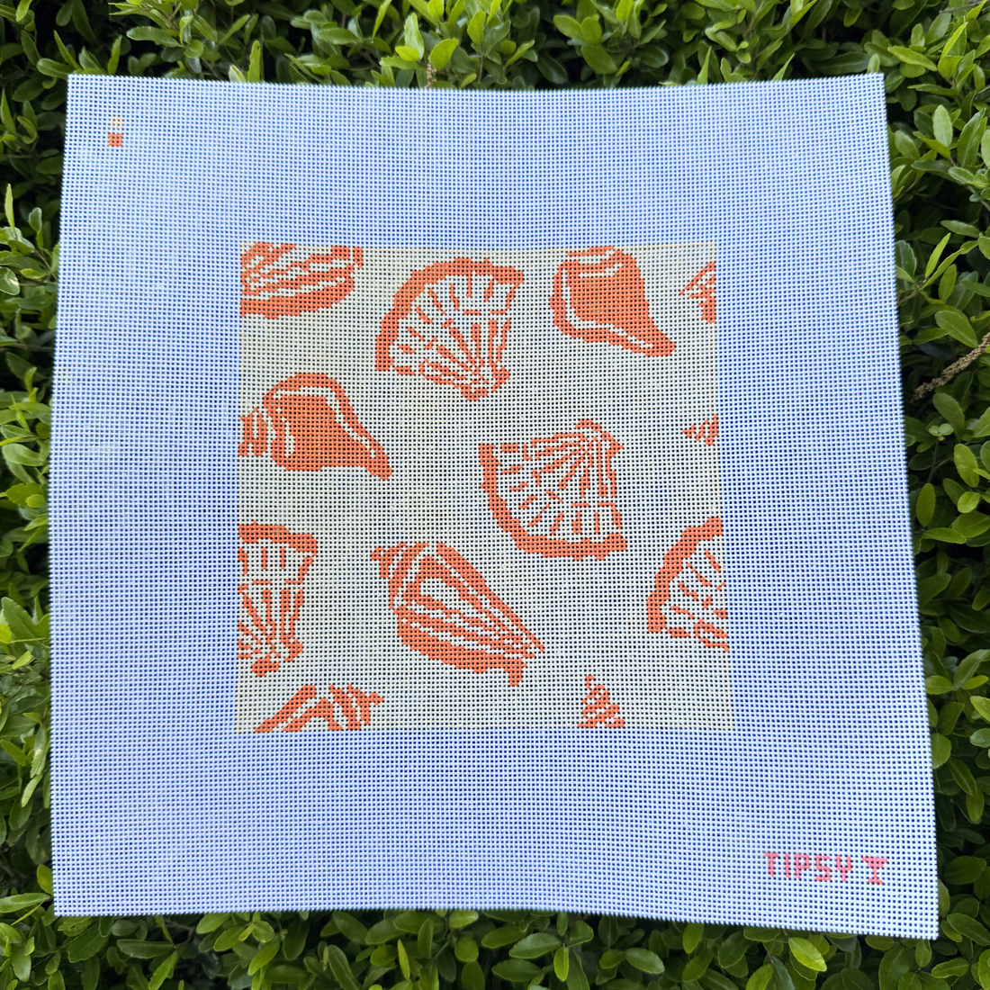 Shell Square 6x6 Needlepoint Canvas